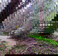 Mount Worth State Park - Accommodation Mt Buller