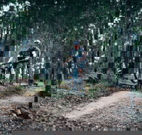 Nerang Mountain Bike Trails - Accommodation Mt Buller