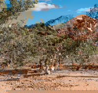 Old Coach Road Drive - Accommodation Mt Buller