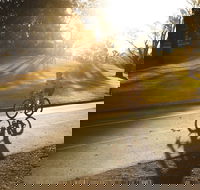 Parramatta River Cycleway - Accommodation Mt Buller