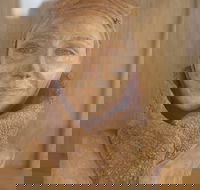 Quilpie Airport Mini Museum and Wool Scour - Accommodation Mt Buller