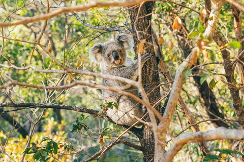 Radical Bay Track - Accommodation Mt Buller 2