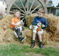 Rain Hayne and Shine Farmyard - Accommodation Mt Buller