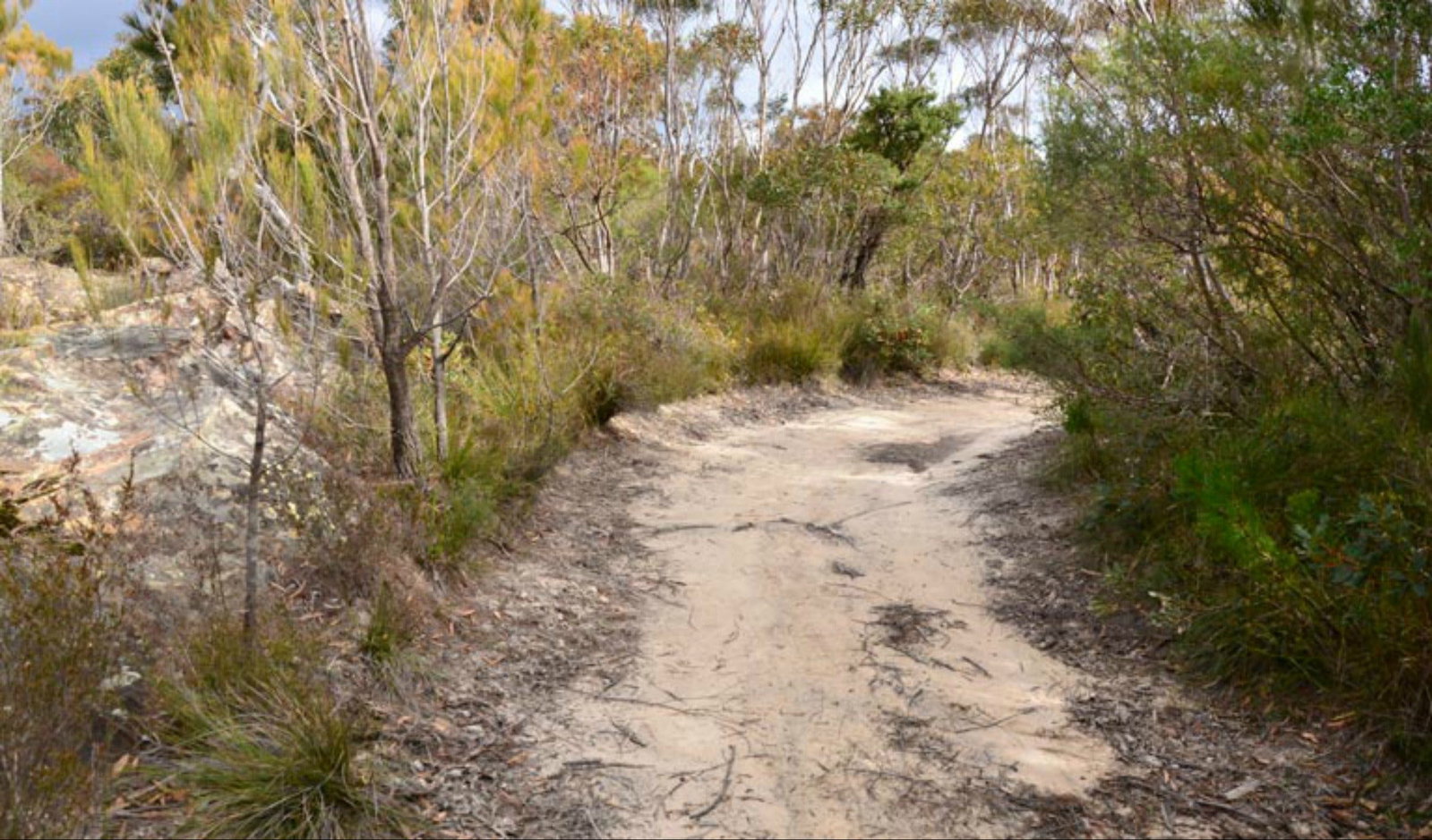Browns Mountain NSW Accommodation Mt Buller