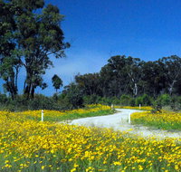 Shearer's Way - Accommodation Mt Buller