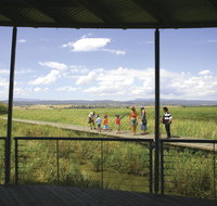 Tamar Island Wetlands Centre and Reserve - Accommodation Mt Buller