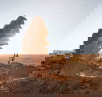 The Living Desert and Sculptures - Accommodation Mt Buller