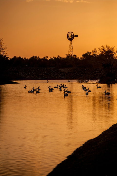 Thomson River, Longreach - Accommodation Mt Buller 2
