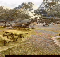 Thredbo River picnic area - Accommodation Mt Buller