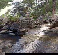 Threlfall Walking Track - Accommodation Mt Buller