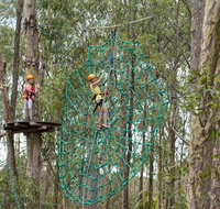 TreeTops Newcastle