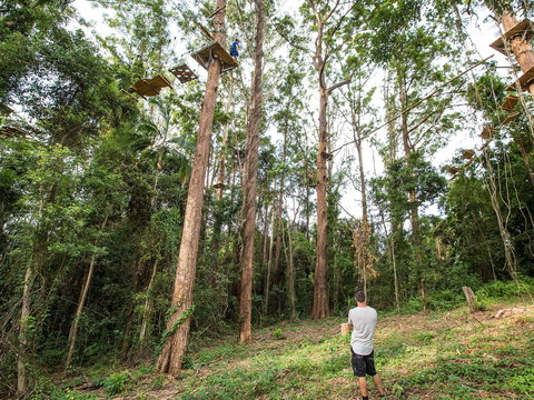 TreeTop Challenge - Sunshine Coast - Accommodation Mt Buller 1