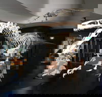 UNE Natural History Museum - Accommodation Mt Buller