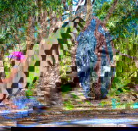 Wagirra Trail and Yindyamarra Sculpture Walk - Accommodation Mt Buller