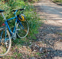 Walter Hood ride from Cudmirrah - Accommodation Mt Buller