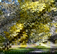 Wattle Park - Accommodation Mt Buller