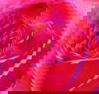 Abandon Stress Mobile Massage - Accommodation Mt Buller