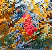 A Changing Australia The Time of Gough Whitlam - Accommodation Mt Buller