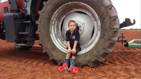 Alice Springs School Of The Air Visitor Centre - Accommodation Mt Buller 2