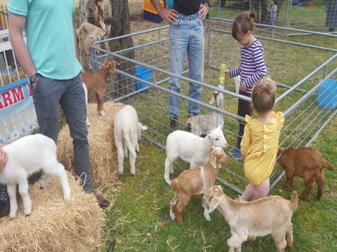 Animal Farm Visit - Accommodation Mt Buller 2