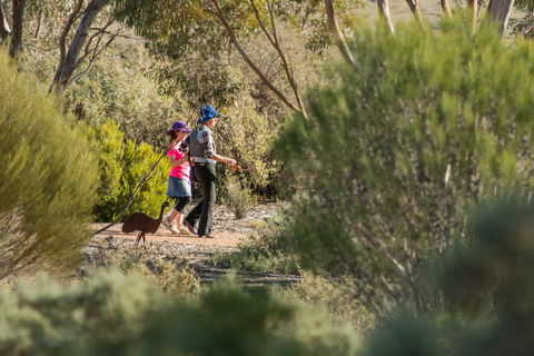 Australian Arid Lands Botanic Garden - Accommodation Mt Buller 0