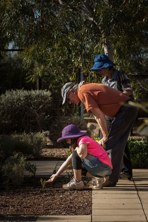 Australian Arid Lands Botanic Garden - Accommodation Mt Buller 1
