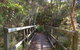 Awaba Bay Foreshore Walk - thumb 0
