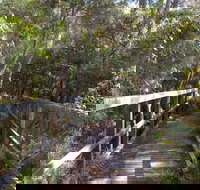 Awaba Bay Foreshore Walk - Accommodation Mt Buller