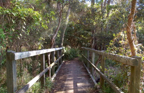 Awaba Bay Foreshore Walk - Accommodation Mt Buller 0