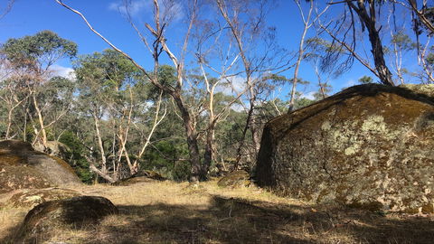 Bailey's Rocks - Dergholm State Park - Accommodation Mt Buller 0
