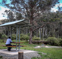 Barrington Tops State Forest - Accommodation Mt Buller