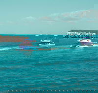 Bowen Creek Fishing - Accommodation Mt Buller