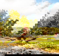 Bright - Accommodation Mt Buller