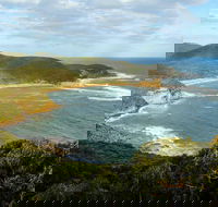 Bullimah Spur Track - Accommodation Mt Buller