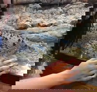 Canberra Reptile Zoo - Accommodation Mt Buller