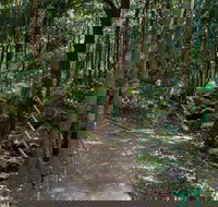 Cascades Walk - Accommodation Mt Buller