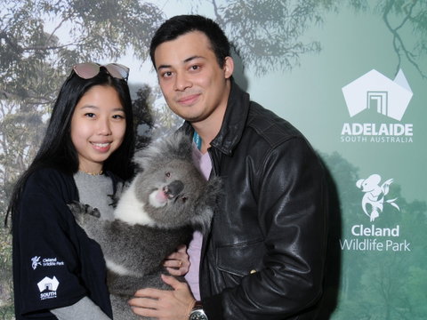 Cleland Wildlife Park - Koala Hold - Accommodation Mt Buller 0