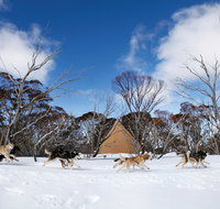 Dinner Plain - Accommodation Mt Buller