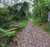 Double Wharf Trail - Accommodation Mt Buller
