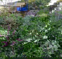 Down to Earth Permaculture - Accommodation Mt Buller