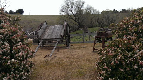 Early Settlers Hut - Accommodation Mt Buller 2