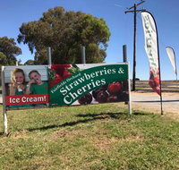 Fairfield Orchard - Accommodation Mt Buller