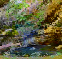 Glimpse of the Outback 5 Day Tour - Roma and Surrounds - Accommodation Mt Buller