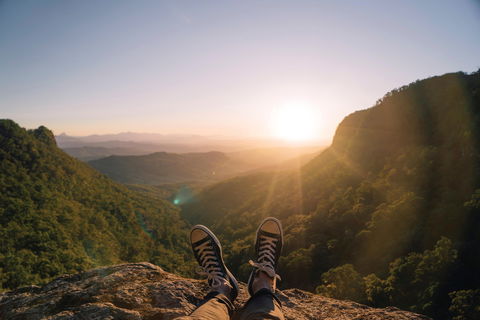 Gondwana Rainforests Of Australia World Heritage Area - Accommodation Mt Buller 1