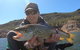 Lake Bellfield - thumb 2