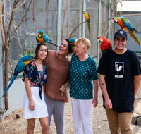 Maleny Botanic Gardens and Bird World - Accommodation Mt Buller