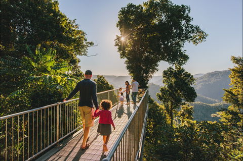 Mamu Tropical Skywalk - Accommodation Mt Buller 0