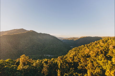 Mamu Tropical Skywalk - Accommodation Mt Buller 1