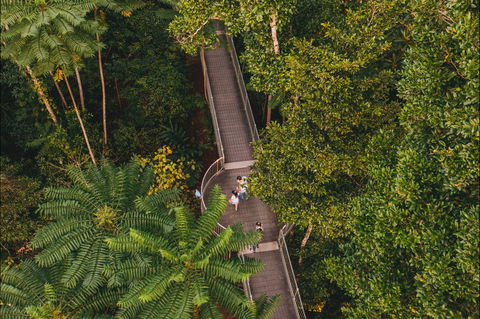 Mamu Tropical Skywalk - Accommodation Mt Buller 2