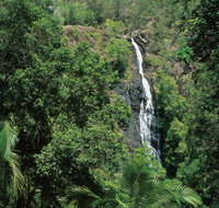 Mapleton Falls National Park - Accommodation Mt Buller